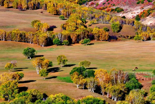 自驾|全国最早一波秋色来了!这6条自驾路线,9、10月美成天堂