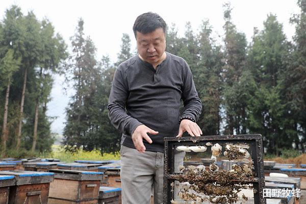 『血糖』更年期潮热吃蜂王浆, 蜂王浆对更年期有用吗?