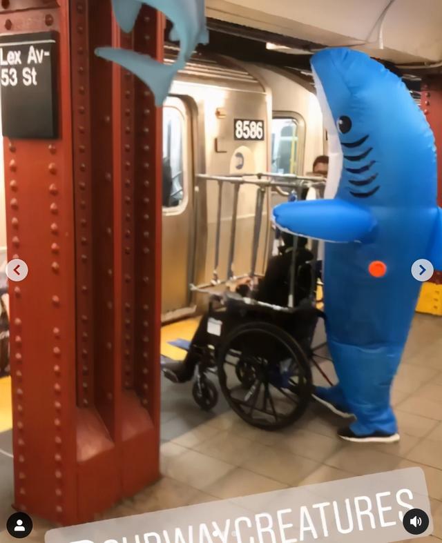 InsDaily|纽约地铁禁止带狗，但允许沙雕进入，于是奇怪的事情发生了……