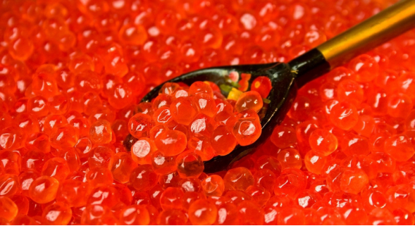 鱼子酱|法国人:中国人简直有毒,我们5万一斤的国宝美食在中国却200包邮