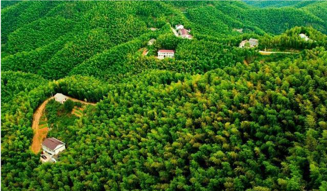 江浙沪|江浙沪“最美的”自驾游路线