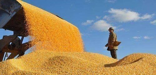 通货膨胀|假如发生严重通货膨胀，现金和房产不再值钱，什么东西最有价值？