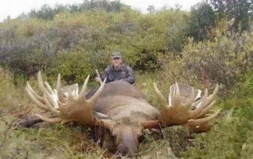 『科学家』五种灭绝的动物再出现, 就连科学家也无法解释