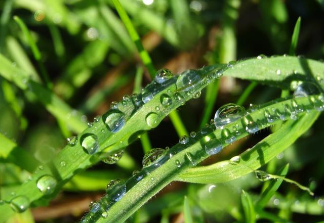 生肖|这四大星座10月起万事如意！好运降临，事业步步高升，大吉大利！