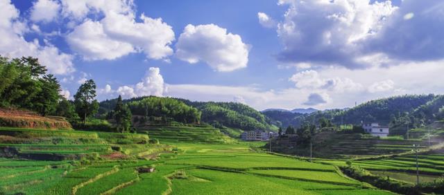 射手座|11月，寄一曲相思，曲终人未散，旧情袭来，爱意流淌，幸福荡漾