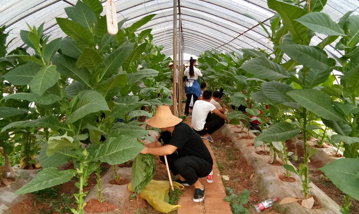 大学|比较容易被误解的4个专业，其实就业前景很不错，收入也很高