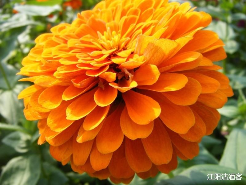 生肖：7月2号财运爆棚，日子红红火火的3生肖，财如雨下，一顺百顺