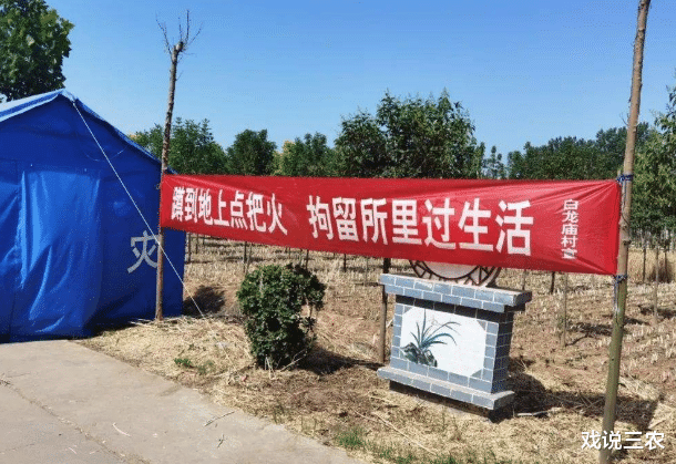 戏说三农|“秸秆焚烧”屡禁不止，“还田”因4大弊端再惹争议！苦了农民！