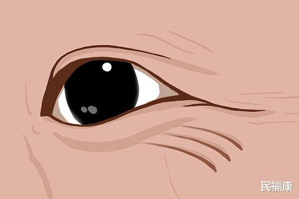 雌激素|女人雌激素快不足时，身体会出现丑态提醒你，若全占，需好好调理