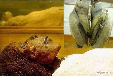 『南极』5万年前的女性遗体中有人造心脏，史前文明到底发展到什么程度？