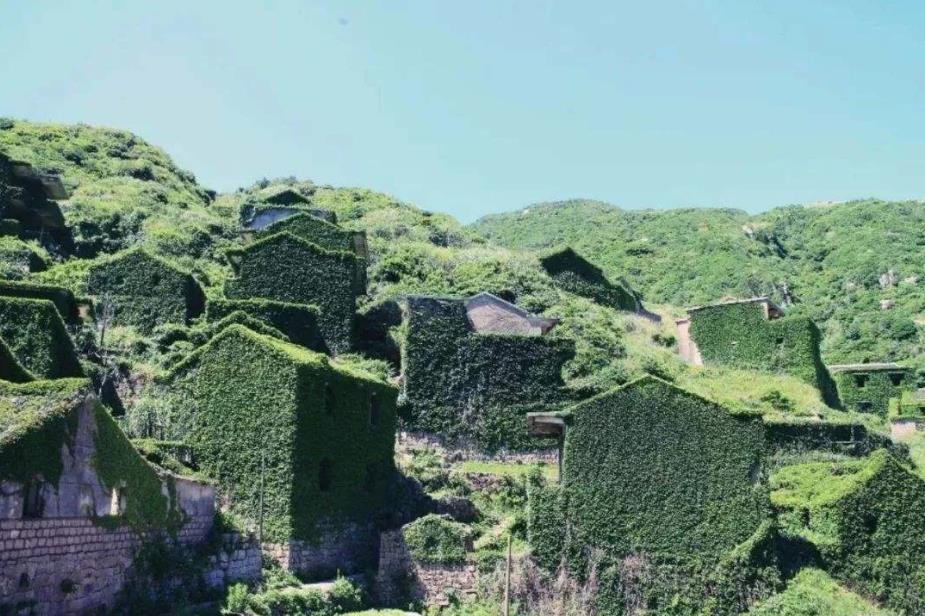 「」人类消失地球会变成啥样？浙江的这个“无人村”就是答案