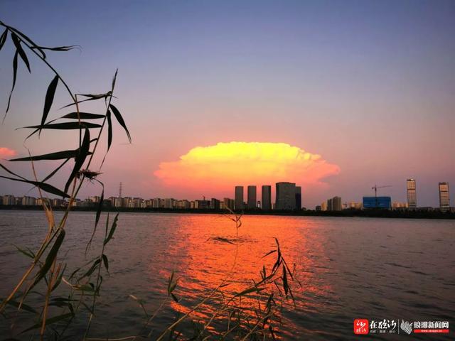 山东商报|果然!这朵刷爆临沂朋友圈的“蘑菇云”,并不简单…