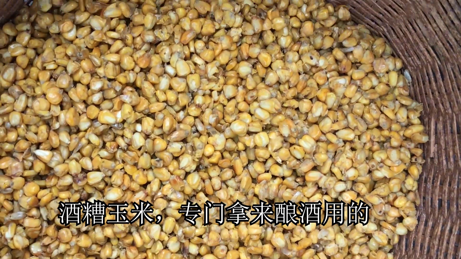 []夏季垂钓我们都需要提前准备什么呢?