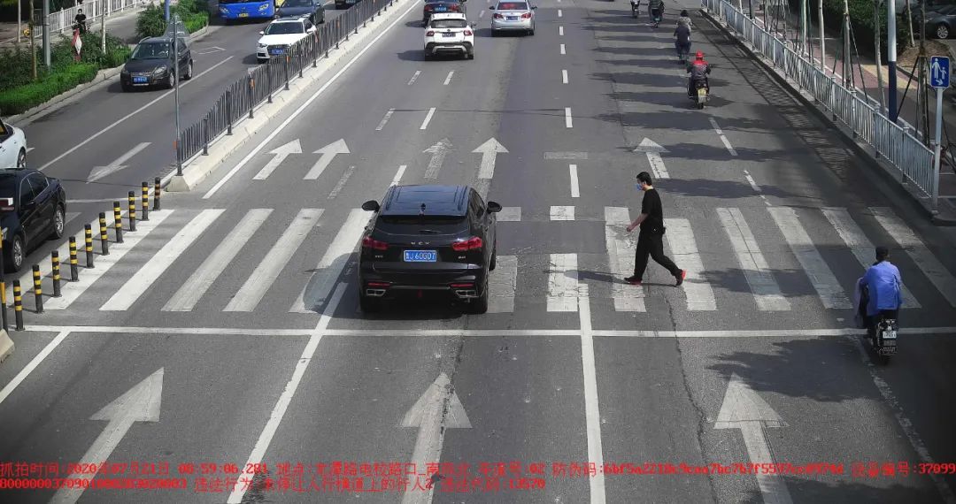 大众网泰安|鲁JUC**8、鲁JDM**0、鲁JA9**6……这20辆车被曝光！