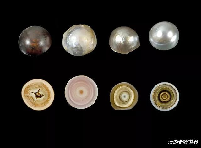 ：这些东西内部长啥样？25张照片揭示日常事物看不见的一面！