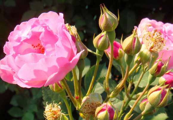 ##6月开始横财大发，4属相咸鱼翻身，生活越来越好，人缘越来越广
