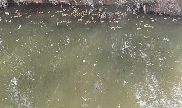 []万年空军的隔壁老王，居然落地了？搞懂原因，你也可以！