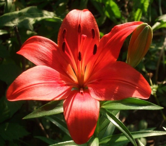 运势|接下来2个月，3生肖有贵人扶持，运势逐渐变旺，财源滚滚来！