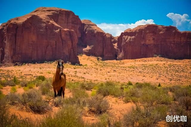 生肖|2020下半年，运势飙升，事业如日中天，爱情唾手可得的3大星座