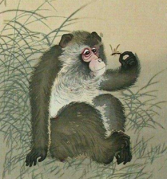 []属猴人这几个月要低调行事啦，不然后果自己承担不起