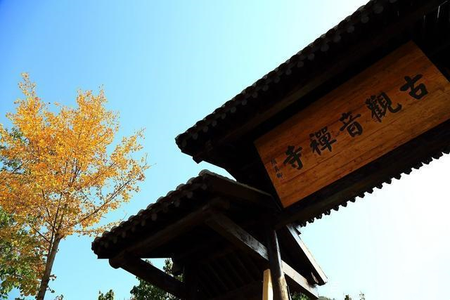 寺庙|因为一棵树，火了一座城，这棵“千年银杏”火到了国外，你去过吗