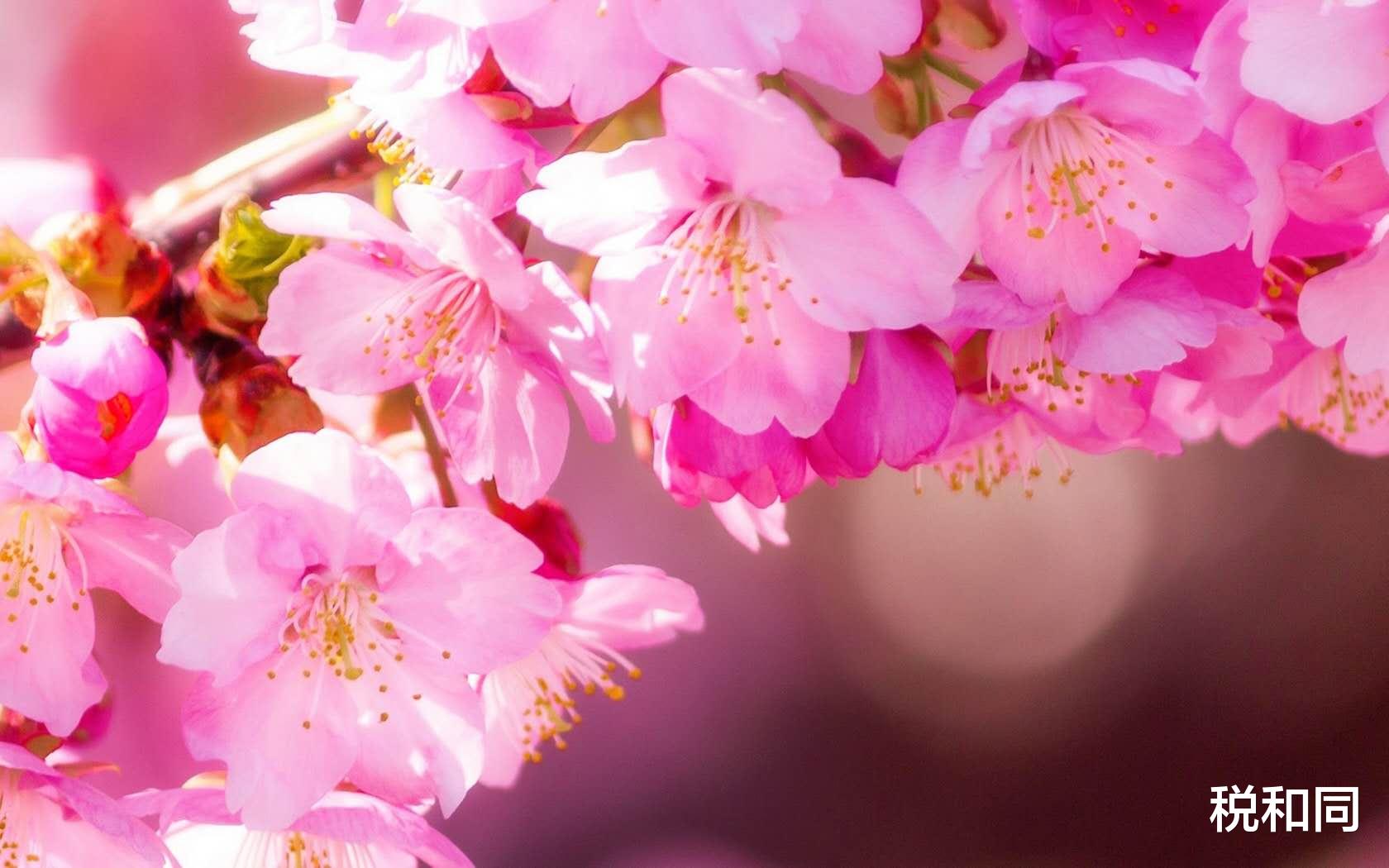 「生肖」7月2号，3生肖财运升级，喜事傍身，天赐好兆头，鱼跃龙门