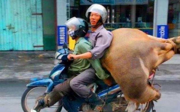 印度▲印度眼里的中国有多落后？印度居民曾问：我们有摩托，你们买得起？