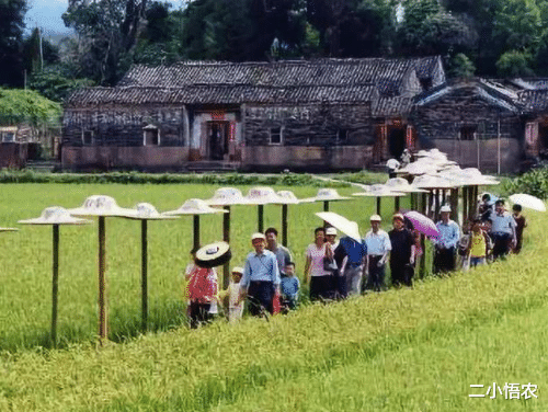 电子商务：马云说这三个农业项目，是未来的赚钱方向！