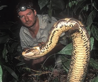 「毒蛇」世界四大毒蛇, 中国的最贵, 印度的最长!