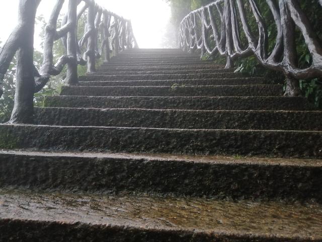 『三清山』我从三清山回来了，很失望