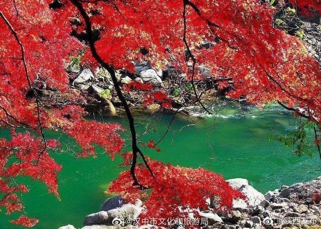 汉中|汉中这个景区的红叶已进入最佳观赏期