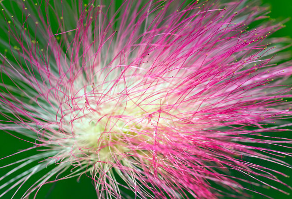 【生肖】进入五月下旬，4属相鸿运当头，前途一片辉煌，财运直线上升