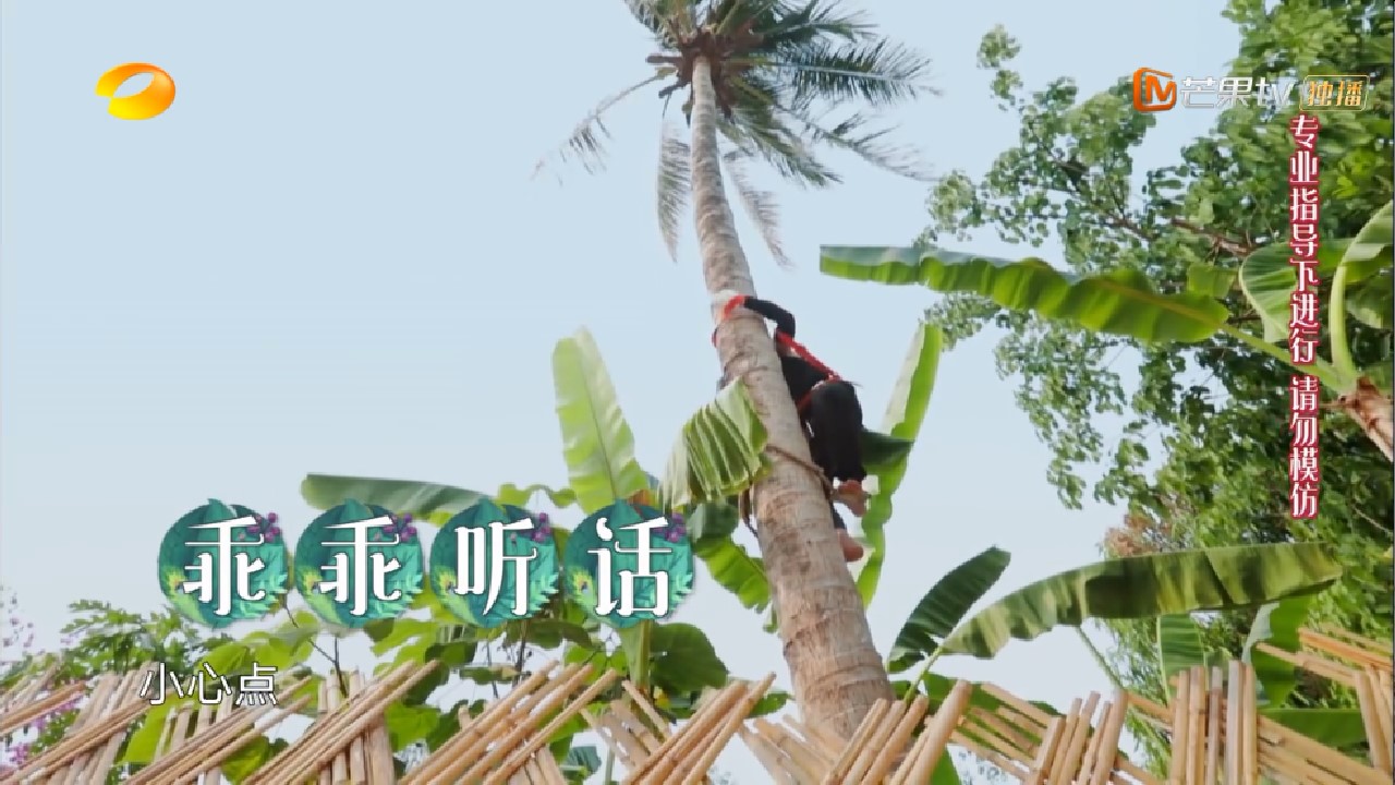 『黄磊』彭昱畅有眼力见儿，陶虹改变对他的看法，只是脾气太倔只有黄磊能治