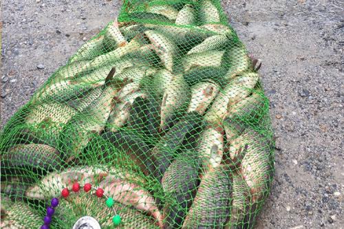 |掌握气候，风向对鱼的影响，钓鱼很简单！