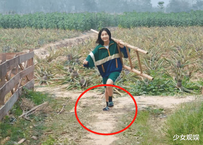 【张子枫】《向往4》别人光脚踩地,看清张子枫脚上打扮,刷新我对女星认识