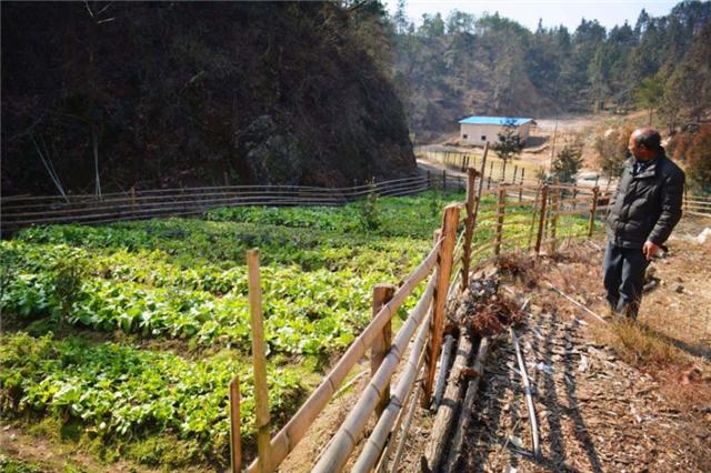 臆说古史|男子隐居深山5年，造10000余米围栏“圈”山养羊，看生活成啥样子