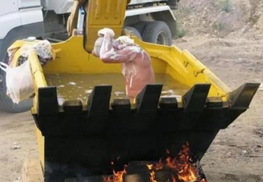 |“第一次钓鱼就被咬，好在是条招财龙鱼，值了！”哈哈哈