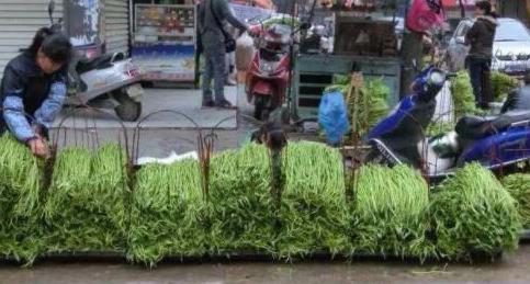 菠菜|中国人拿来“喂猪”的食材,起了个“洋名字”出口美国,遭人抢购