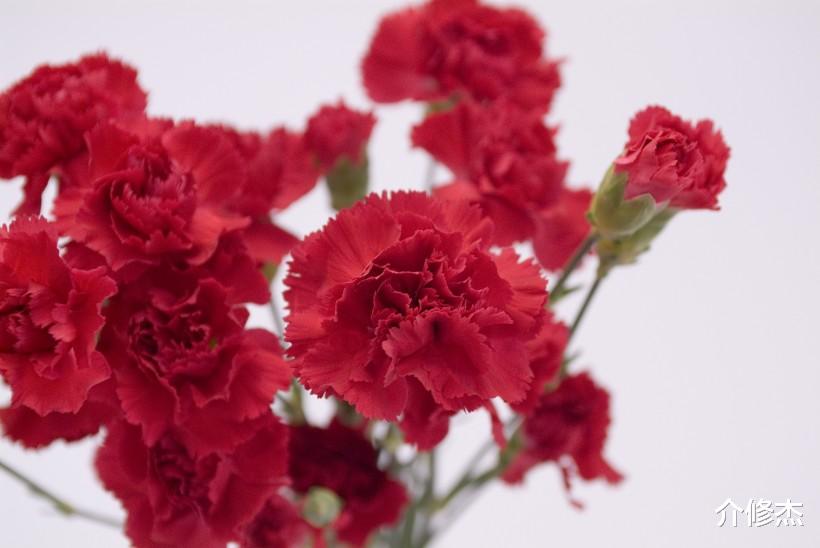 生肖@六月下旬，异性缘排队追，脱单更是分分钟！以为没人追的4大生肖