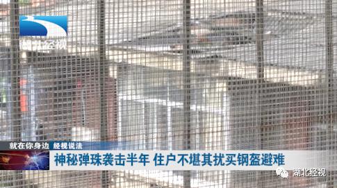 半岛晨报|阳台玻璃总被恶意击穿，住户戴钢盔躲避