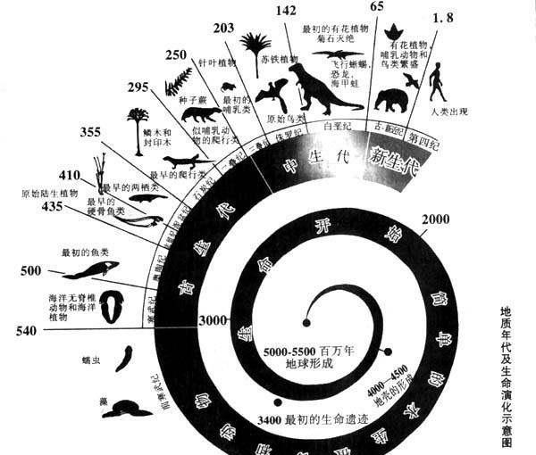 蚊子|为什么蚊子冒着生命危险,就是为了吸一口血?值得吗?