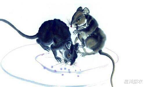 吉星▲5月2日吉星高照,贵人来的3大生肖,财气逼人,出门见喜