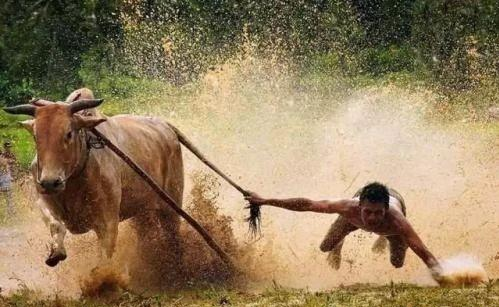 牛市|“牛市”结束，震荡开始，接下来怎么走？