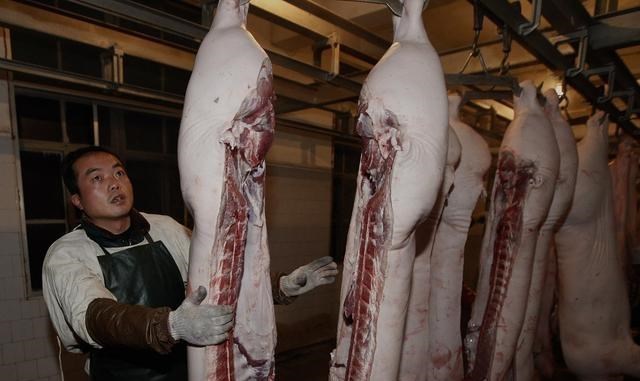 |生猪价格“7连跌”！别让这只蒙黑手，蒙蔽了你的双眼！