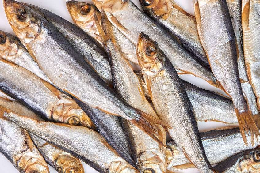 ▲鱼身上最脏的器官，堪称寄生虫的“窝”，很多人都爱吃，要注意了