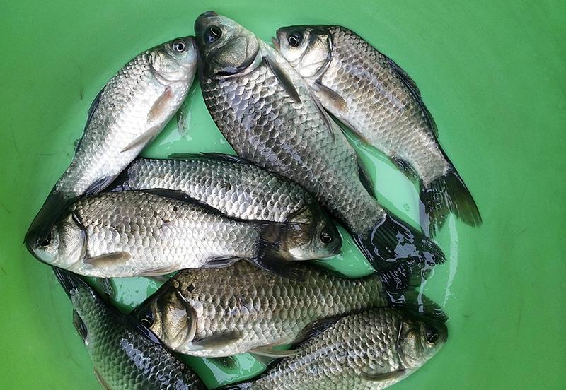 @调好的目数,没钓一会就变了!什么原因,看完这些就懂了