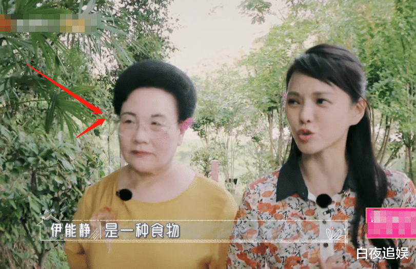 [伊能静]伊能静录节目喊婆婆全名，被吐槽没礼貌，观众却都能理解