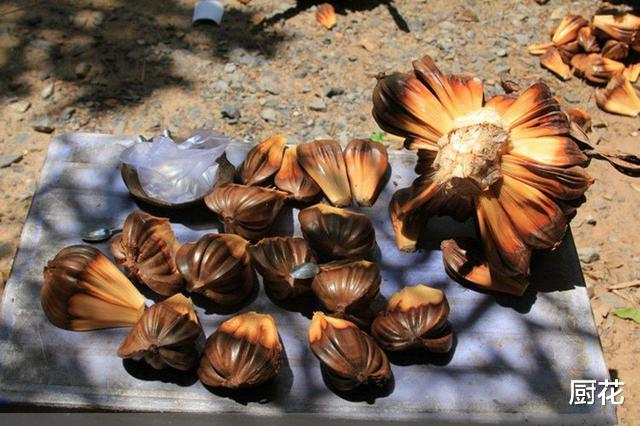 玉米▲比小龙虾更“悲剧”的水果,外国不受待见,在中国变“高档水果”