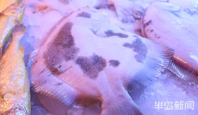 半岛新闻客户端|螃蟹50元、大海螺45元！记者走市场逛码头，青岛最“鲜”海货价格表来了