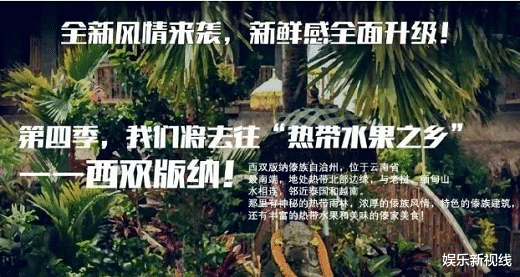 『何炅』即将开播《向4》如何走出颓势？节目组开出两剂猛药，药效又是如何呢？